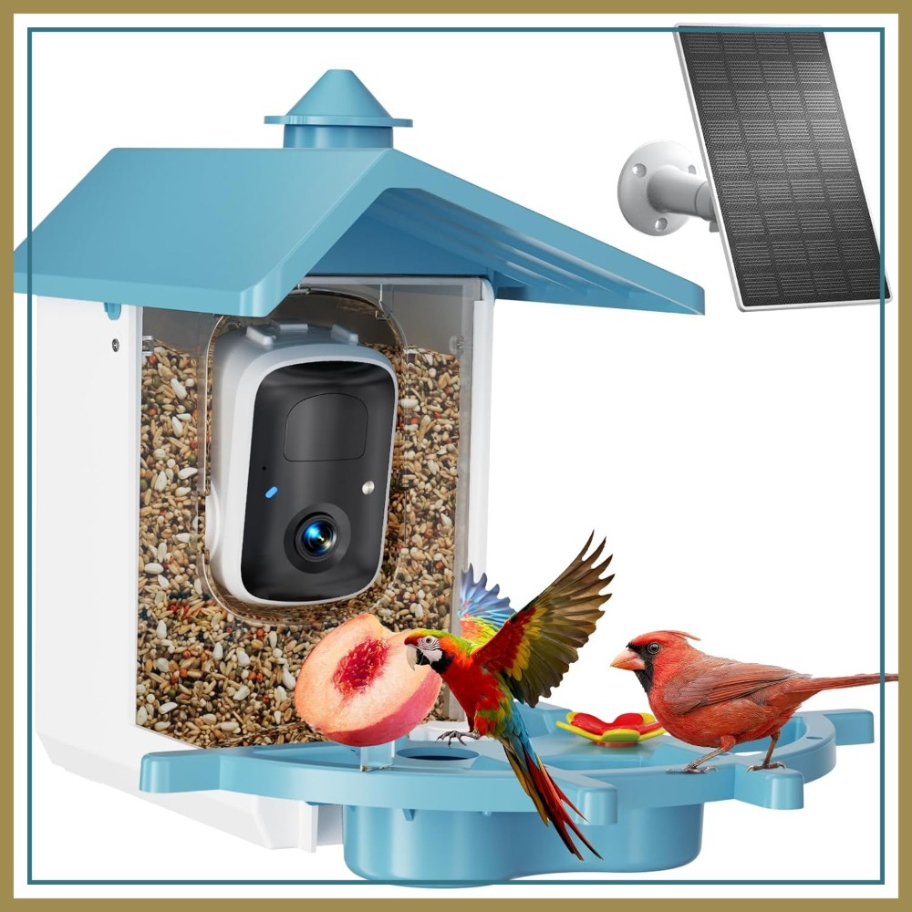 Solar Powered Watch - Bird Feeder with Camera for Outdoor,