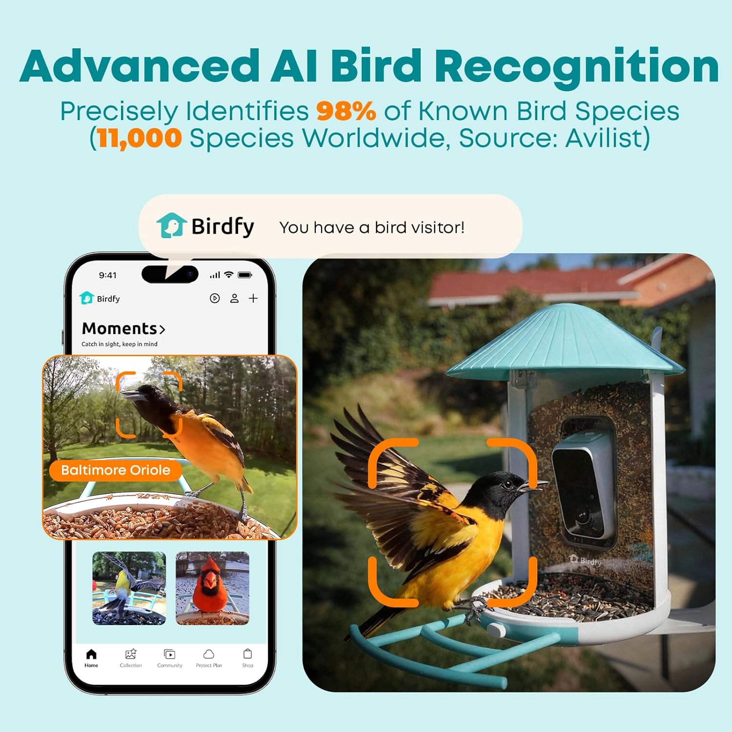 Smart Bird Feeder with AI Came - Watch Smartwatch recension och pris