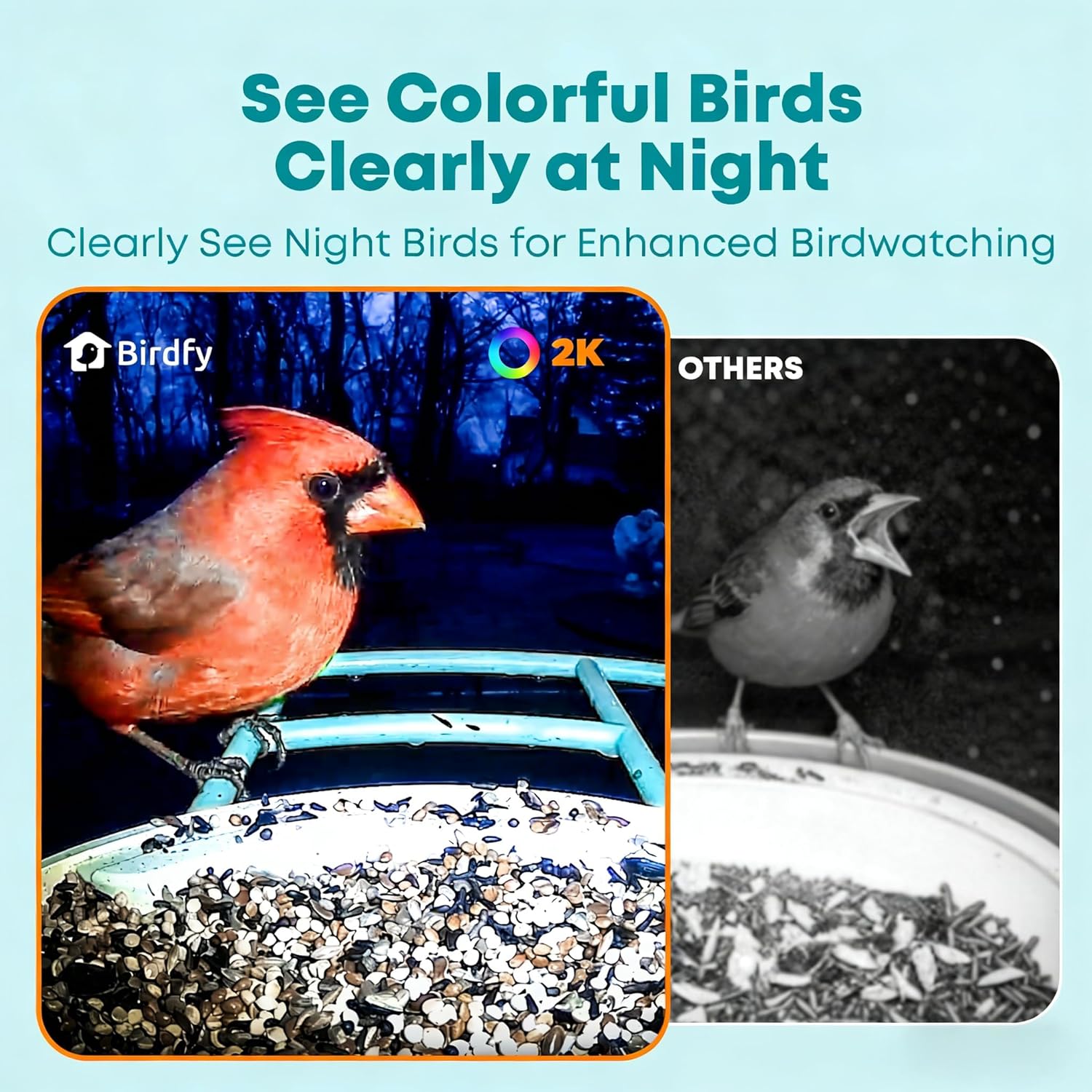 Smart Bird Feeder with AI Came - Watch Smartwatch recension och pris